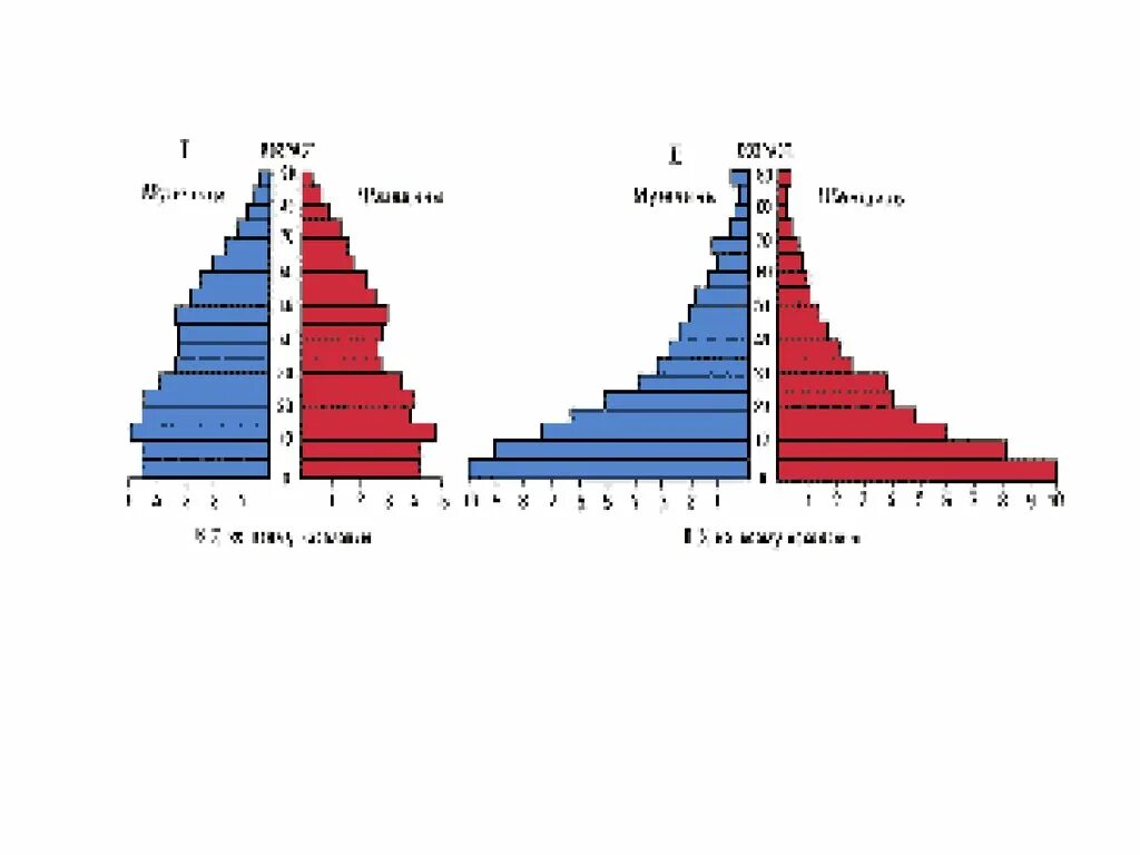 Половозрастная структура Франции. Возрастно половая пирамида Франции. Половозрастная структура населения Франции. Половозрастная структура населения Германии. Половой состав франции