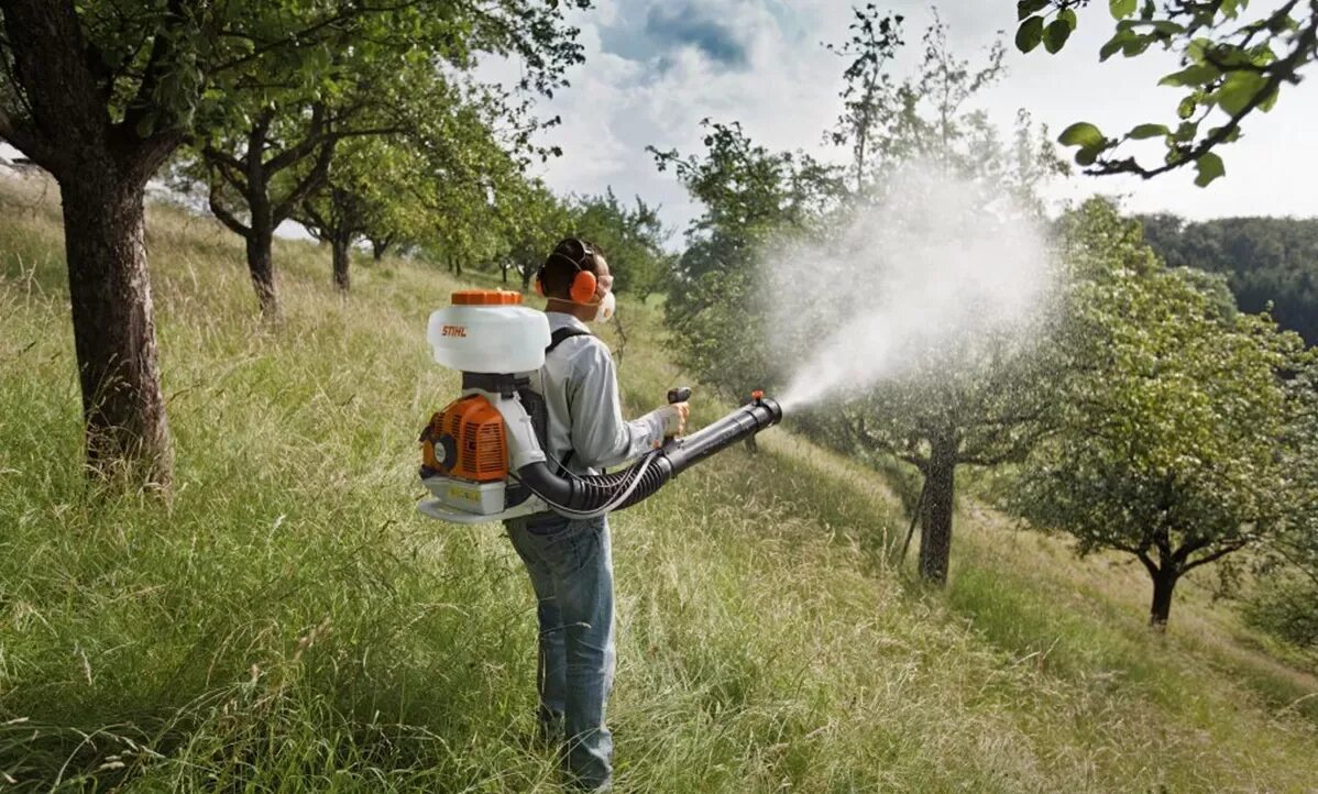 1 обработка деревьев. Бензиновый опрыскиватель stihl sr 450. опрыскиватель бензиновый stihl sr 450 характеристики. опрыскивание деревьев stihl. опрыскиватель штиль для растений.