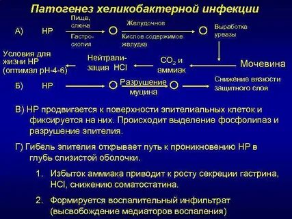 Хеликобактер ассоциированный