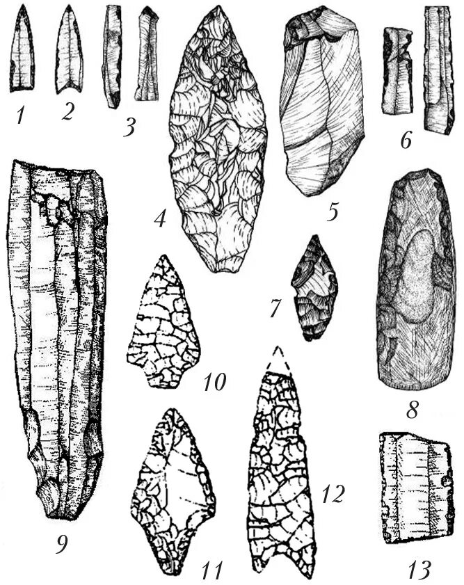 Сенатор неолит сочи. Каменные наконечники стрел Неолит. Наконечник стрелы Неолит. Нуклеус Неолит. Кремниевые наконечники стрел Неолит.