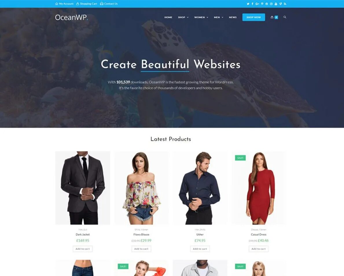 Шапка вордпресс. Oceanwp wordpress. тема oceanwp. темы вордпресс океан. wordpress ocean wp.