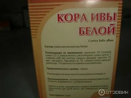 Ива белая противопоказания