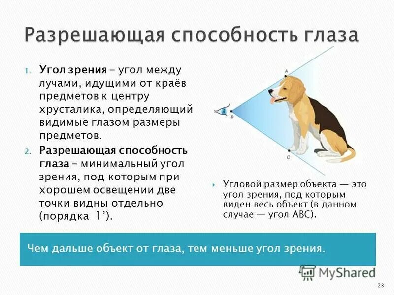 наименьший угол зрения. разрешая способность глаза. угловая дисперсия дифракционной решетки. минимальный угол зрения человека. угловая разрешающая способность.