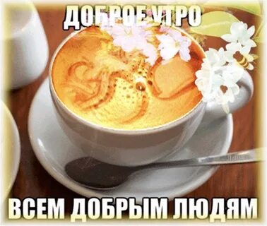 Доброе утро друг картинки смешные