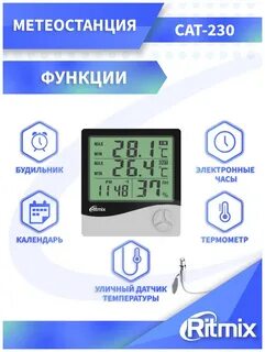 Метеостанция ритмикс