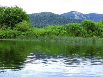 Красота реки белой