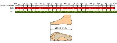 Линейка обуви