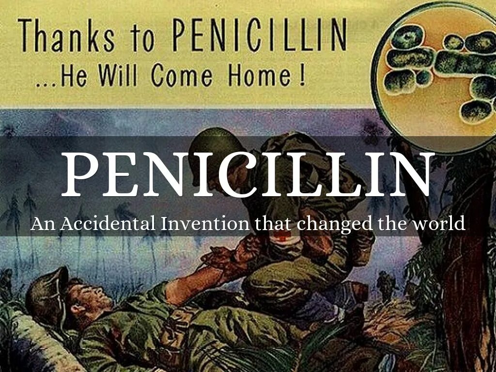 He will come back. Пенициллин вторая мировая. Penicillin Discovery.