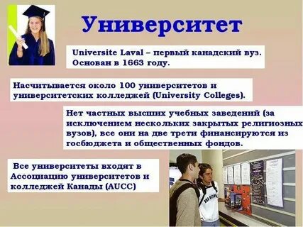 Высшее образование университета колледж какое образование