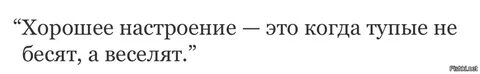 Бесят тупые