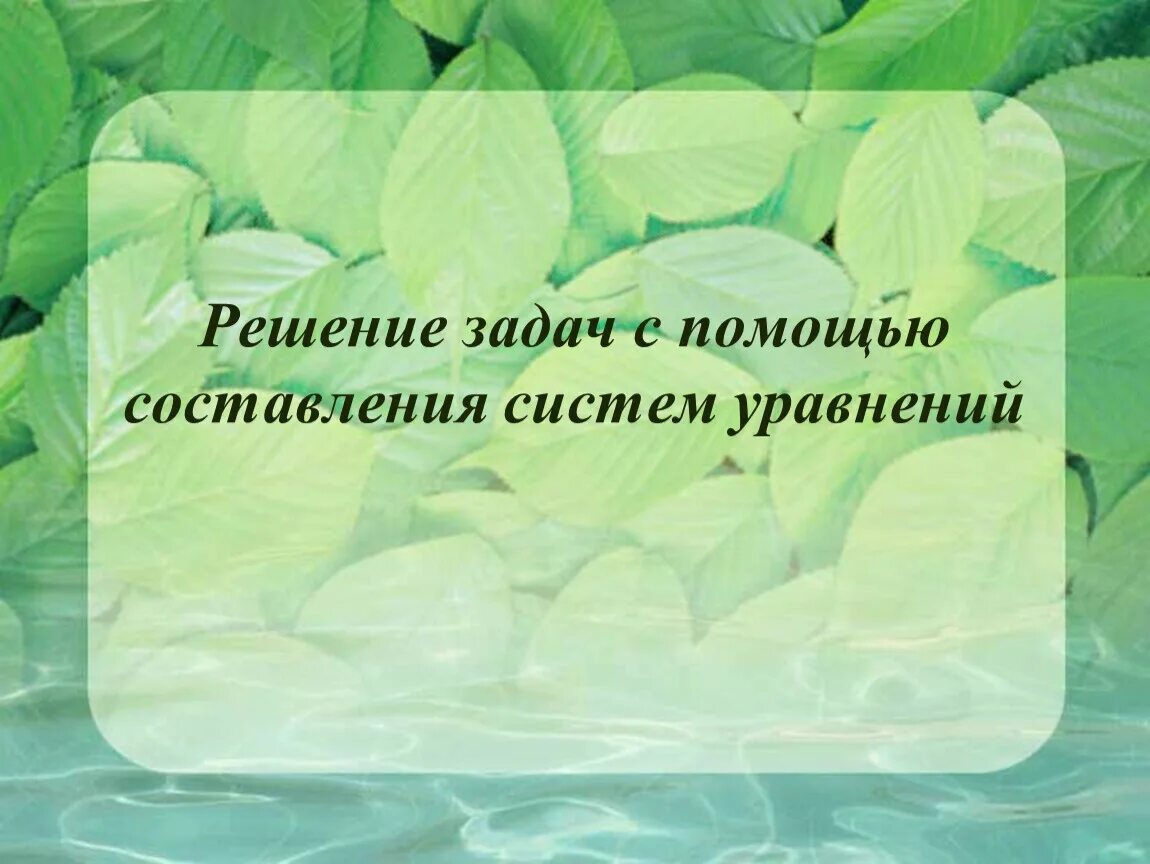 Взаимодействие организмов в экосистеме. Межвидовые взаимодействия в экосистеме. Межвидовые взаимоотношения организмов. Виды межвидовых взаимоотношений в экосистемах.