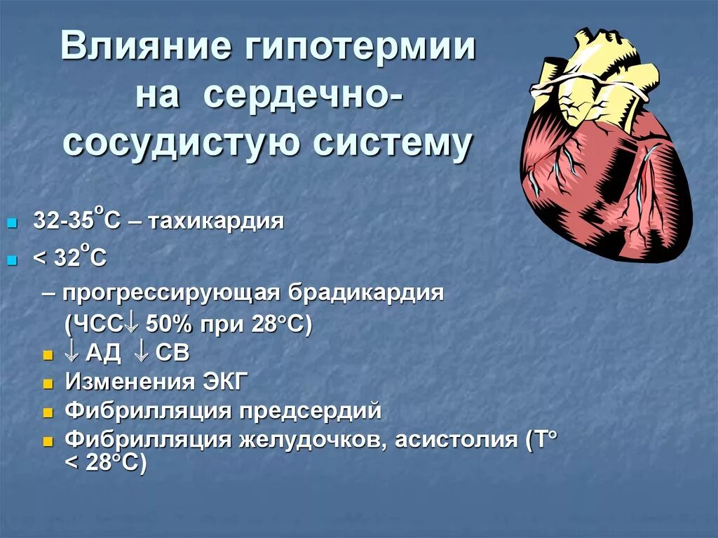 Температура сердца