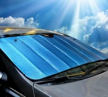 Windscreen