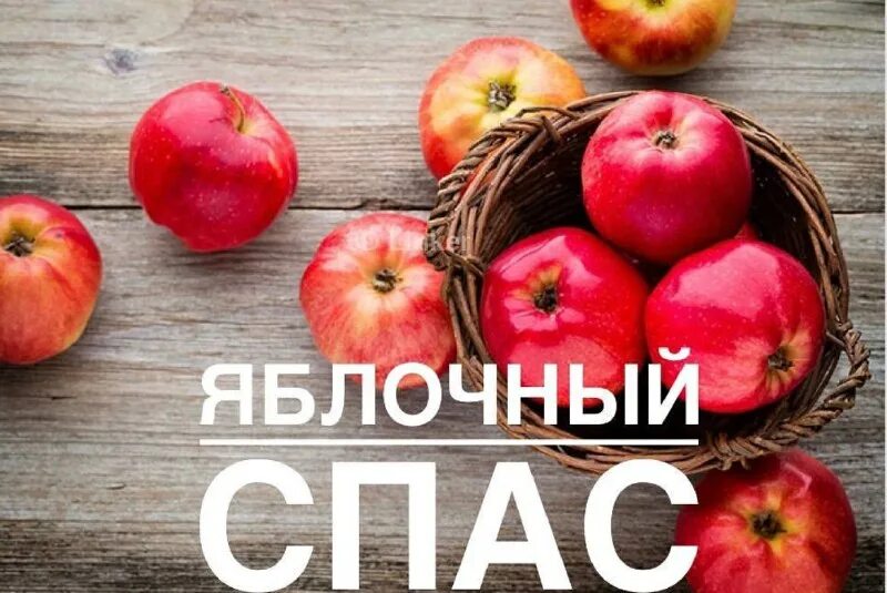 яблоки эвелина. род яблоня. яблоко род. яблоко род. сорт яблони пинова.