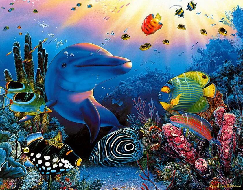 Сказочный подводный мир. Подводный мир. Подводный мир дэвид миллер. Подводный риф риф. Строим подводный мир.