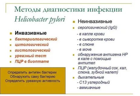 Определение хеликобактер пилори