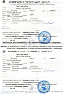 Документы скор