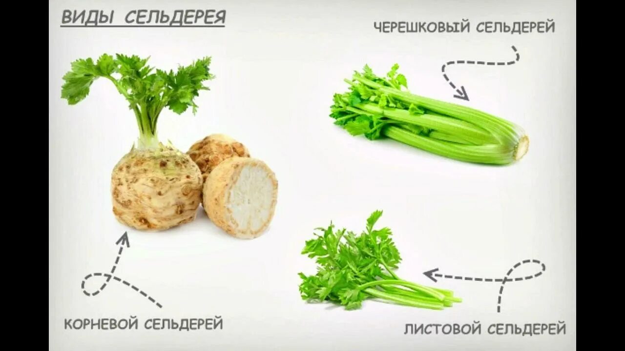 Листья черешкового сельдерея