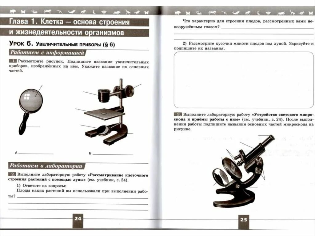 Лабораторная работа искусственные сообщества 5 класс ответы. Увеличительные приборы 5 класс биология рабочая тетрадь. Биология 5 класс рабочая тетрадь увеличительные приборы ответы. Биология лабораторная работа. Биология 5 класс лабораторная работа.