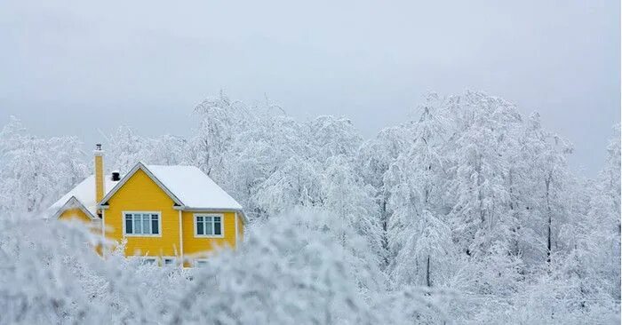 Anna Truelsen Yellow Winter Wonderland Winter scenes, Winter scenery, Winter the