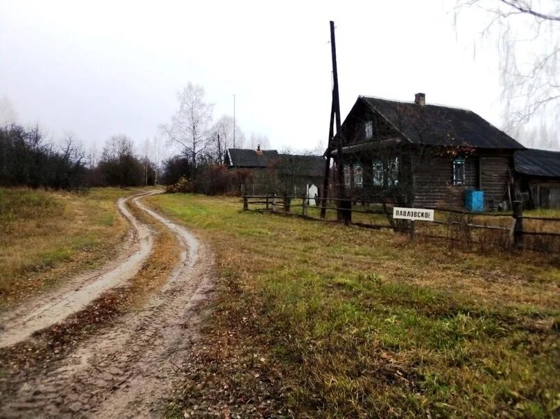 Деревня как она есть 2. Деревня ёгна. деревня павловское. павлово village.