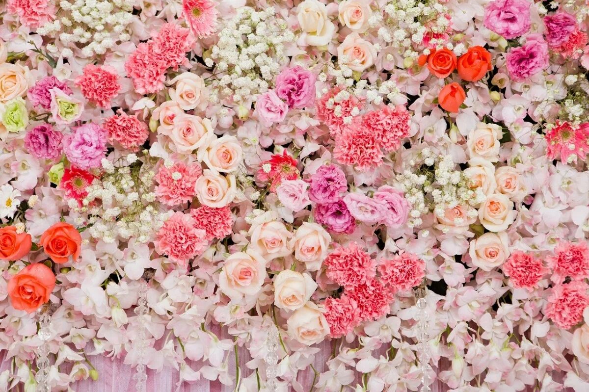 Цветов и любых открытых. Цветочный фон. Мелкие розовые цветочки. Цветочки много. Мелкие розовые цветы.