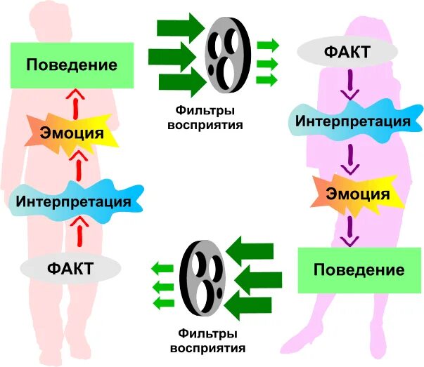 Мастер интерпретаций