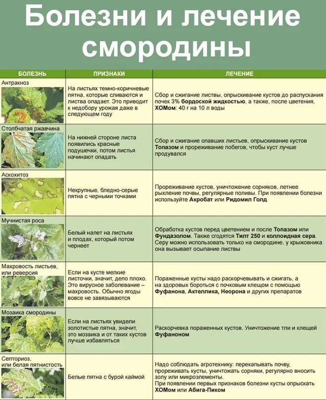 Как избавиться от цветения
