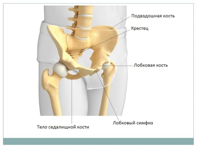 Подвздошная кость болит