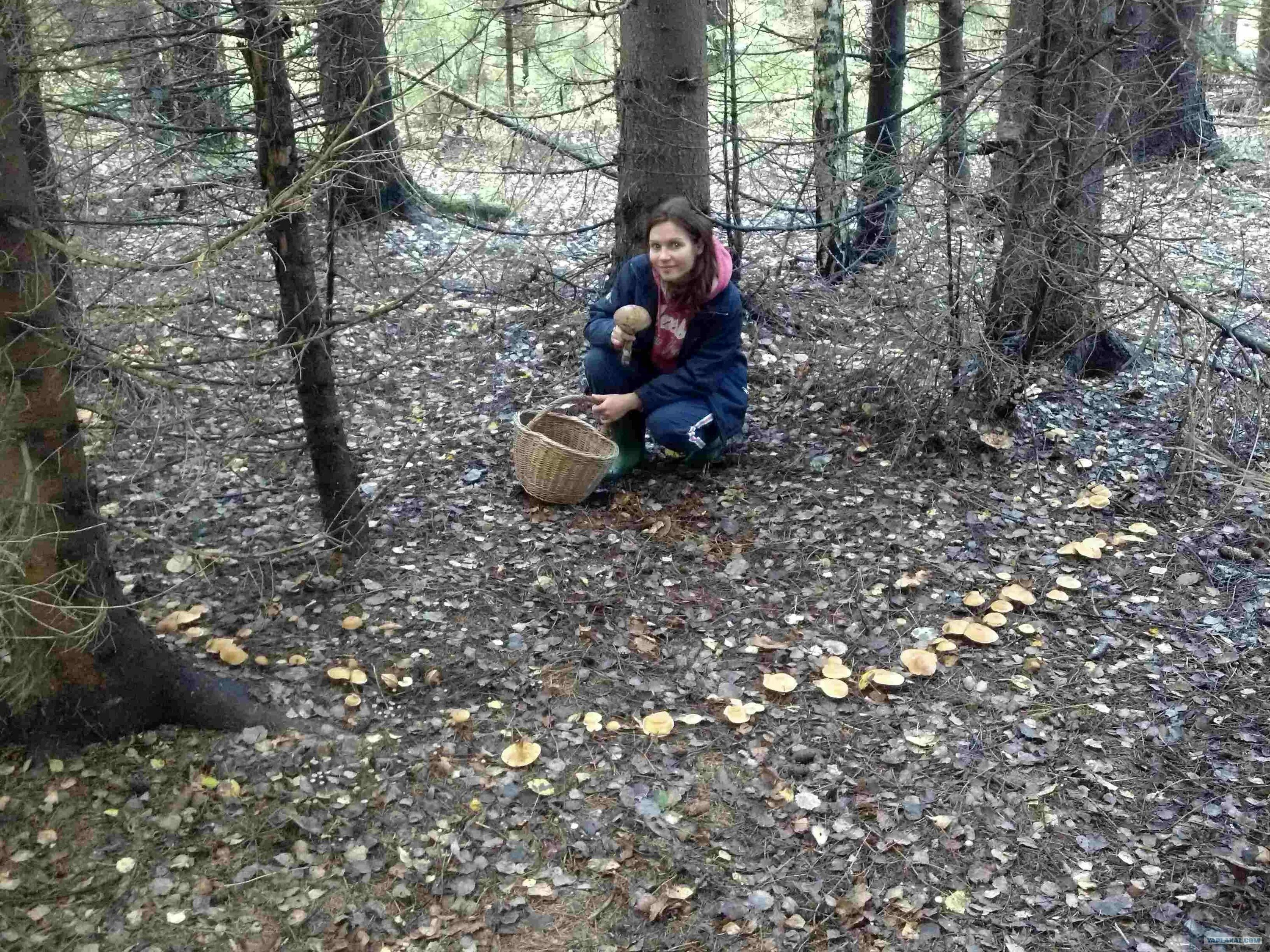 фотосессия в лесу летом. русскую в лесу по кругу. фотосессия в лесу. человек в лесу. ведьмины круги.
