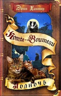 Полночь книга