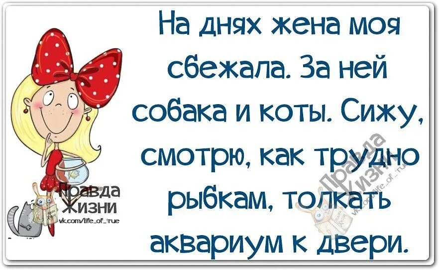 Смешные цитаты с картинками правда жизни. Прикольная правда жизни. Правда жизни. Прикольная правда жизни. Правда жизни юмор.