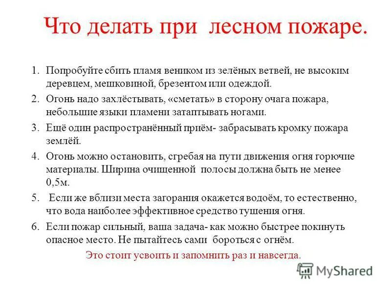 действия при природном пожаре. правила поведения при пожаре в лесу. памятка поведение при обнаружении очага пожара. памятка поведения при лесном пожаре. нмди вы оказадись в зоне лесного пожара.
