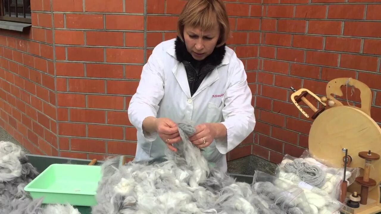 Мыть шерсть. Сортировщик шерсти. сортировка шерсти овец. мытье овечьей шерсти. очищение овечьей шерсти.