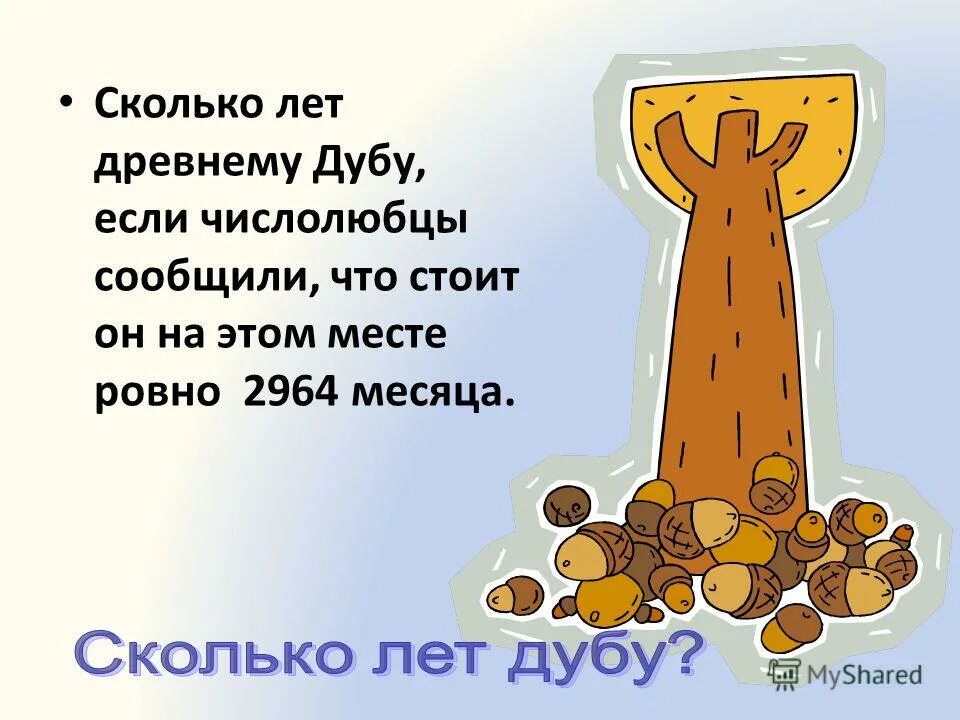 Сколько лет богу. Сколько лет Боженьке. Сколько лет Богу сейчас. Сколько лет дубу