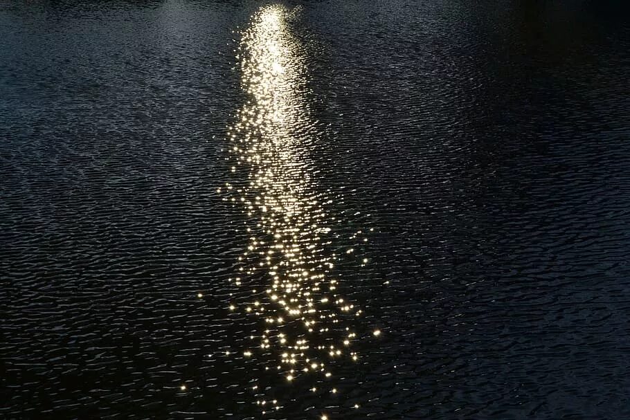Света озерных