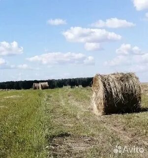 Погода в тюковном