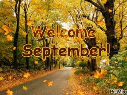 Hello for beginning