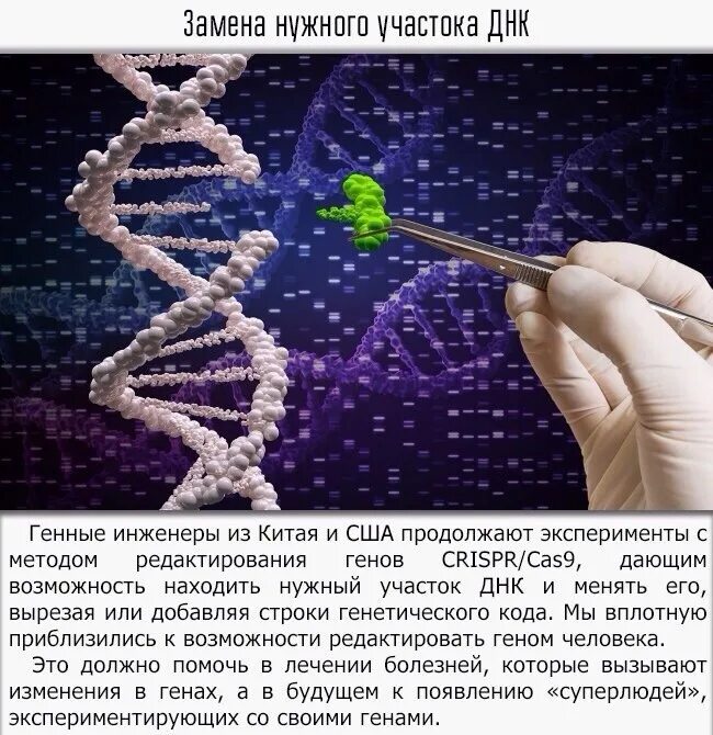 Вещество изменяющее днк 7 букв. Днк человечества. человек с измененным днк. изменение днк человека. как меняют днк.