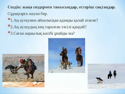 Әдемі кисканың жақыннан түсірілген фотосы