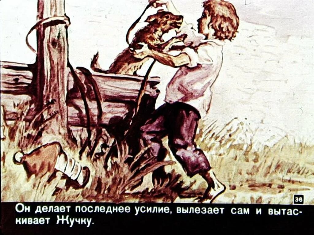 Эпизод спасение жучки