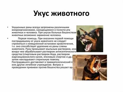 Столбняк после укуса собаки