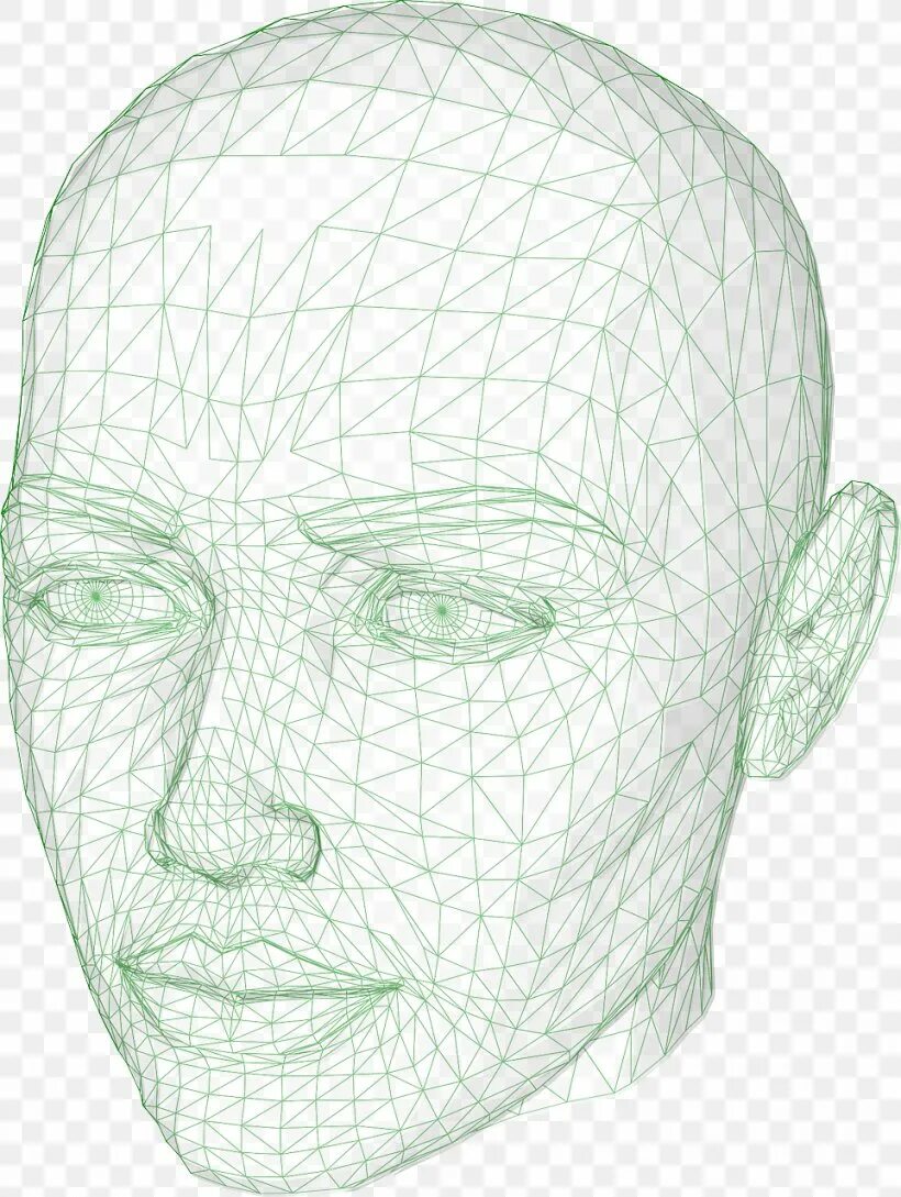 Graphic model. Голова человека. Лицо человека. Модель головы для рисования. Лицо человека рисунок.