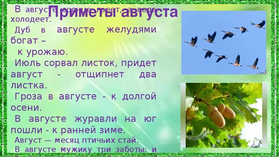 Народные приметы июля для детей. Приметы погоды на июнь на каждый день. Народные приметы на июль. Приметы погоды на июнь на каждый день. Картинки приметы июня.
