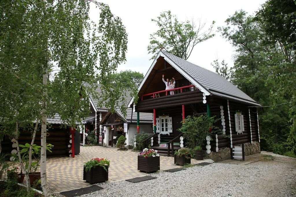 Архипо-осиповка. Архипо-осиповка глухой 7 переулок. Ландария архипо-осиповка. Архипо осиповка лесная. Архипо осиповка лесная.