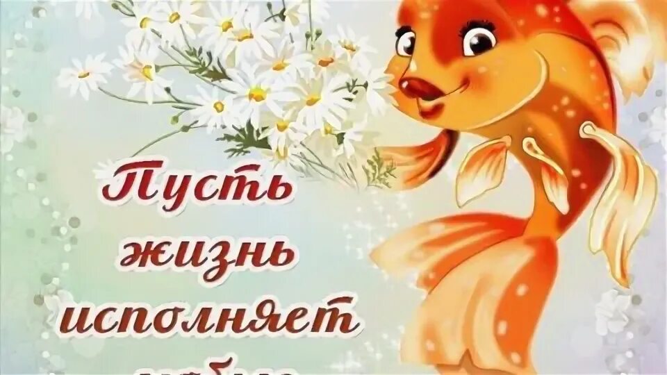Мы желаем исполнения желаний