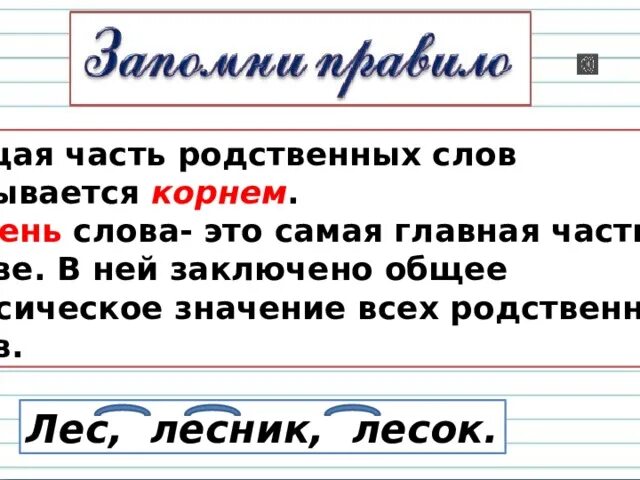 Общая часть родственных слов. Корень это Главная общая часть родственных слов. Родственных слов общее значение. Корень Главная часть слова родственные слова.