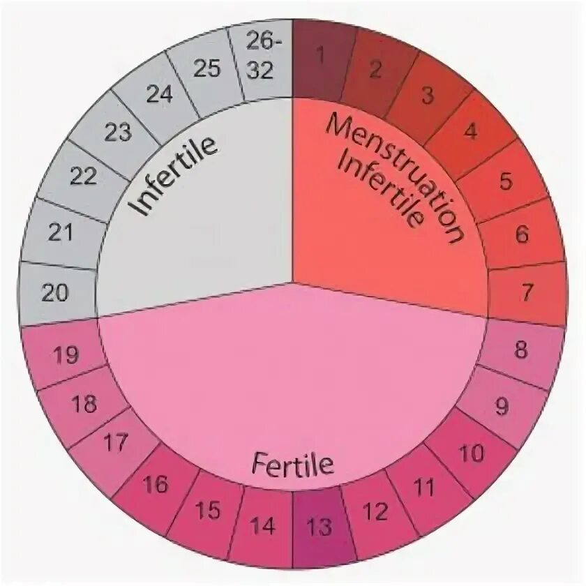 Фертильные дни. Нефертильный день что это. Фертильное окно. Фертильный период.