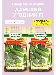 Сорт огурца дамский угодник