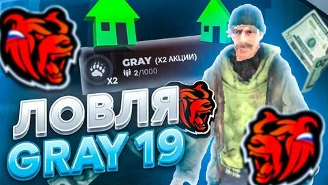 Блэк раша грей